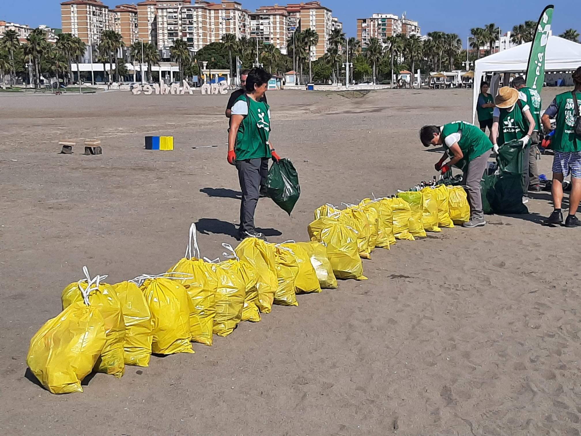 Playa limpia después de la limpieza