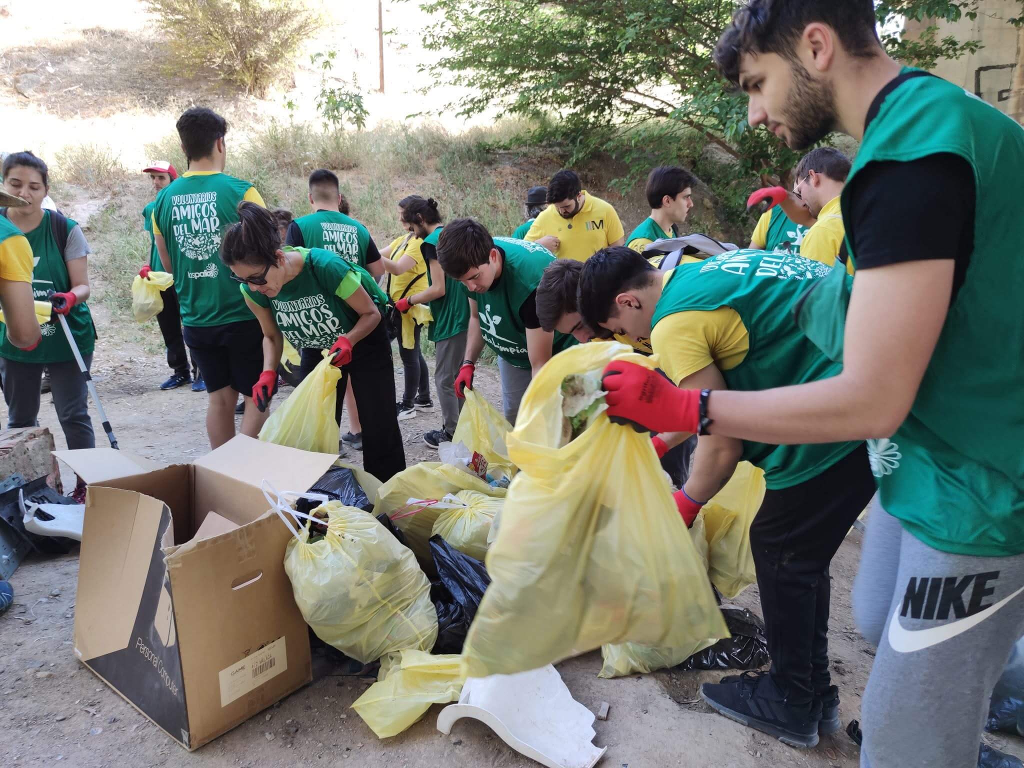 Grupo limpiando bosque