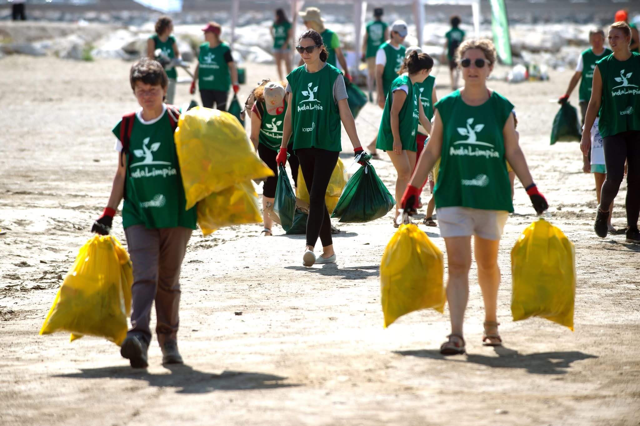 Playa limpia después de la limpieza